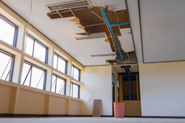  Rio Communities, NM Water damage restoration Pros