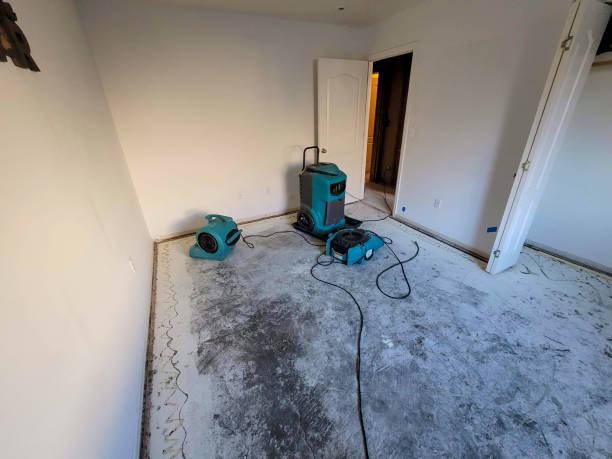 Best Commercial water damage restoration  in Rio Communities, NM