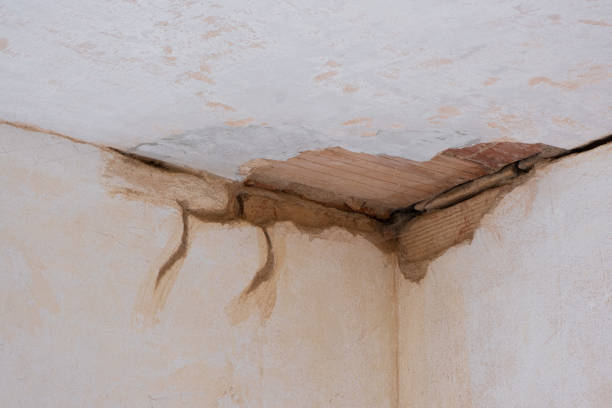 Best 24/7 water damage repair  in Rio Communities, NM