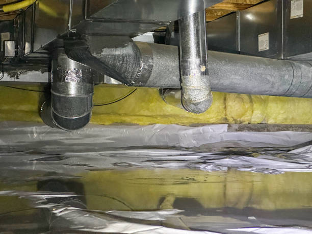 Best Flood damage cleanup  in Rio Communities, NM