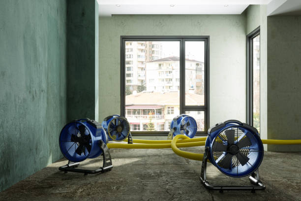 Trusted NM Water damage restoration Experts